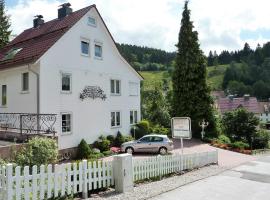 Pension Rheingold Garni, guest house in Bad Grund