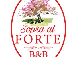 sopra al FORTE, B&B din Querceta