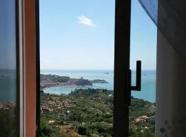 Agave Di Lerici