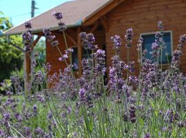 Faház, maison en bord de lac à Tiszaszőlős