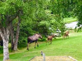 Halcyon Heights B&B/Inn