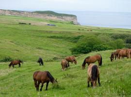 Posada Punta Ballota, strandleiga í Suances