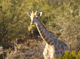 Zwartberg View Mountain Lodge, hotel in Oudtshoorn