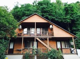 Teremok Guest House, beach hotel in Lidzava