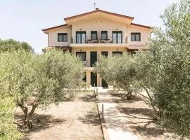 Olive Tree Apartments