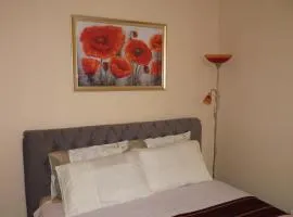 Apartament Planty