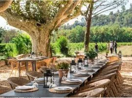 Domaine Regis Freres