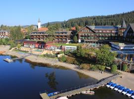 Treschers Schwarzwald Hotel，蒂蒂湖－新城的飯店