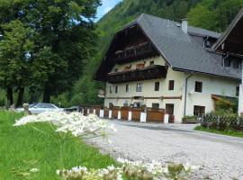 Gasthof Steinbräu, casa de hóspedes em Faistenau
