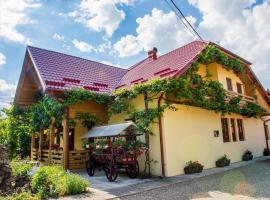 Casa Andreea, bed & breakfast a Suceviţa