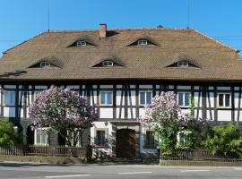 Goldberghaus Mauve, apartamento em Grosschönau