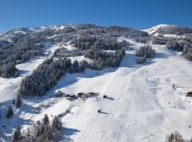 Pension Hedegghof, ξενοδοχείο κοντά σε Harbachbahn, Grossarl