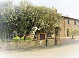 Agriturismo Podere dei kiwi