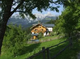 Fesengut