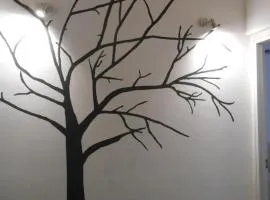 Appartamento san Domenico