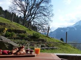 Roossi-Huus 2, hotel em Wengen