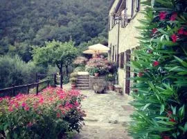 Farmhouse B&B Castagnola 64