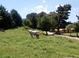 Agriturismo Bosco Pianetti, farm stay in Santuario di Gibilmanna