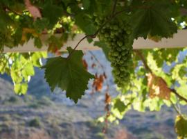 Koukos, homestay in Agia Theodoti