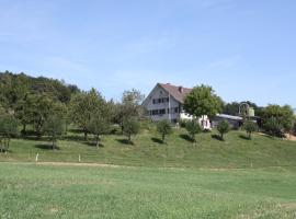 BnB im Waldhof, bed and breakfast a Schneisingen