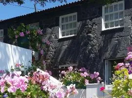 Casa do Zé - AL