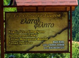 Hotel Elatofilito, cheap hotel in Athamanio
