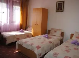 Joleski Accommodation