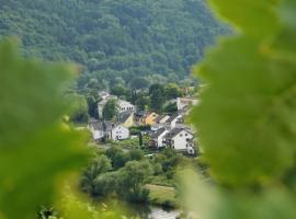 Fewo Winzerstrasse, hotel with parking in Zell an der Mosel