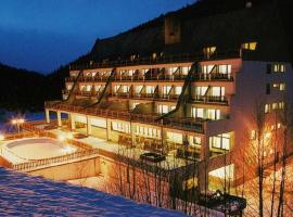 Wellness&Sport Hotel Šumava, hotel v Kašperských Horách