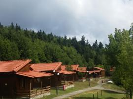 Livadaki Village - Δασικό Χωριό Λιβαδάκι, hotelli kohteessa Karpenísi