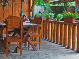 Sura Pietrei Craiului, homestay in Zărneşti