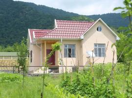 Qebele Vendam, hotel v destinaci Gabala