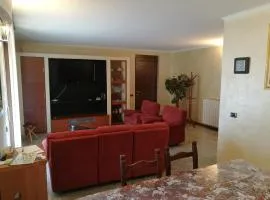 Pellico Apartment