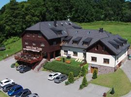 Hotel České Žleby, hôtel avec piscine à Stožec