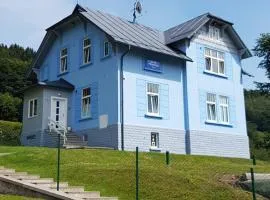 BLUE PENSiON