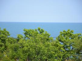 Razvan Holiday, hotel i Costinesti