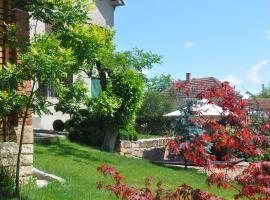 Guesthouse Djurić, hotel v destinaci Negotin