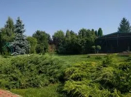 Casa cu pauni