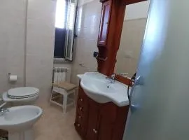 Bruno B&B