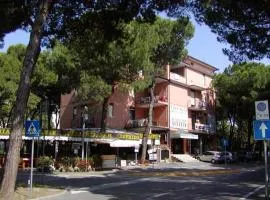 Apartments in Rosolina Mare 24870