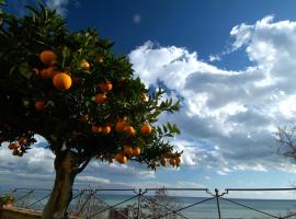 Casa Pazzi Dimora d'Epoca, hotel in Grottammare