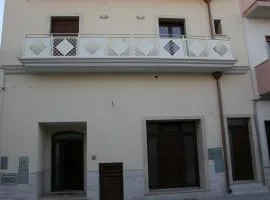 Il Fenicottero
