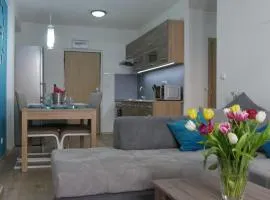 Všemina Apartman