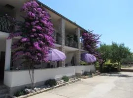 Apartments Pipi