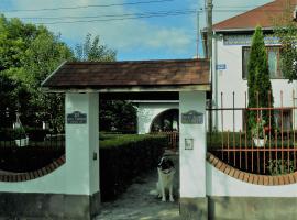 Guest House Marketti, pet-friendly hotel in Vynohradiv