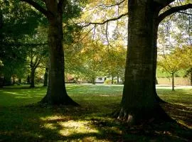 Silverstream Lodge