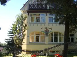 Hotel-Appartement-Villa Ulenburg