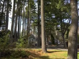 Pine Grove Cottages