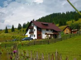 Casa din Plai - Bucovina