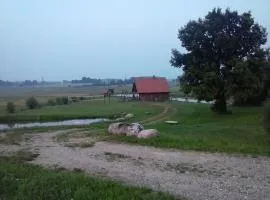 Krustceles